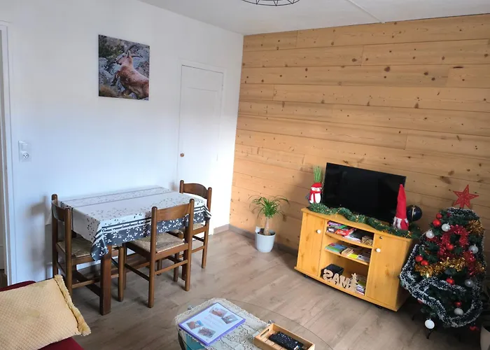 T2 cosy proche des pistes